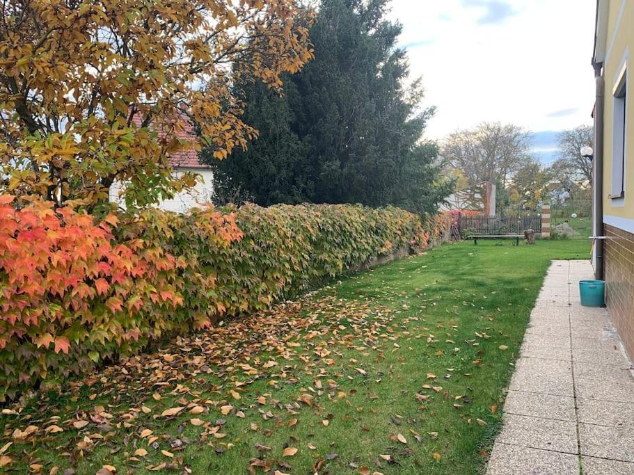 Ferienhaus Mit Garten In Thermennaehe Strebersdorf Exteriör bild